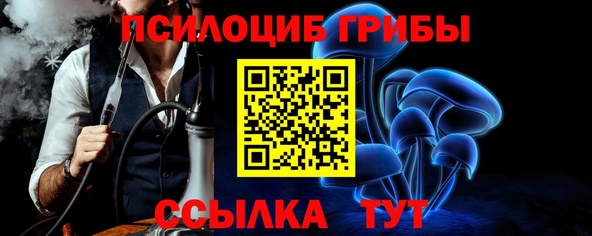 Галлюциногенные грибы Cubensis Красногорск